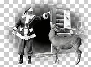 Santa Claus Christmas Reindeer House PNG
