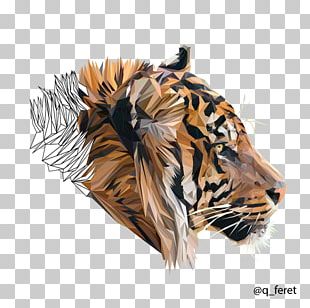 Tiger Sony KD-49XE7005 PNG