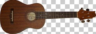 Ukulele Acoustic Guitar Bass Guitar Electric Guitar PNG