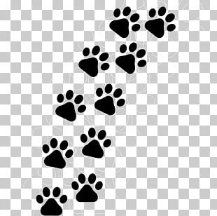 Dog Paw Cat Pattern PNG, Clipart, Animals, Black, Black And White, Cat ...