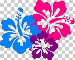 Hawaiian Flower Aloha PNG, Clipart, Aloha, Artwork, Clip, Cut Flowers ...