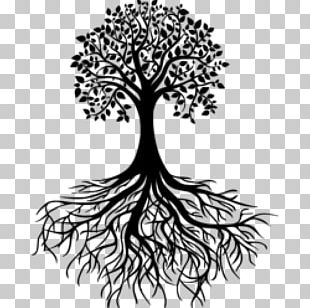 Drawing Tree Root PNG, Clipart, Art, Artwork, Branch, Drawing ...