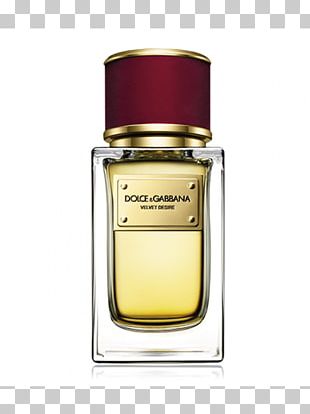 Dolce Gabbana Fashion Perfume Haute Couture Versace Png Clipart