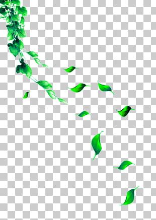Adobe Illustrator PNG
