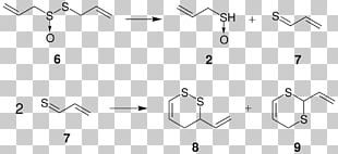 Allicin Thiosulfinate Garlic Allyl Group Propyl Group PNG