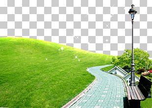 Artificial Turf Grassland PNG