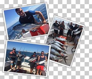 Port Phillip Recreational Boat Fishing Tuna Squid As Food PNG
