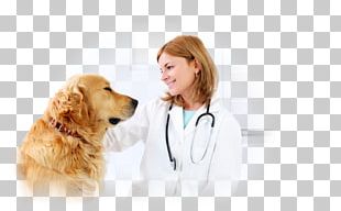 Dog Veterinarian Veterinary Medicine Cat Paraveterinary Worker PNG
