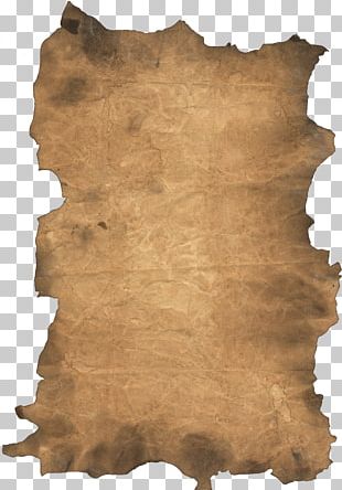 Paper Scroll Parchment Template PNG, Clipart, Art, Clip Art, Document ...