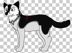 Whiskers Cat Dog Breed Red Fox PNG, Clipart, Breed, Carnivoran, Cat ...