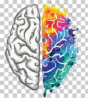 Human Brain Creativity Your Creative Brain Lateralization Of Brain Function PNG