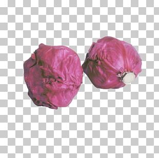 Red Cabbage Organic Food Vegetable PNG