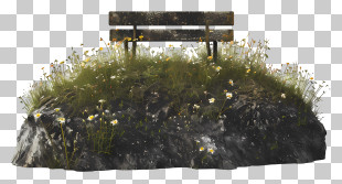 Park Bench - Rustic Bench On Grass With Flowers PNG