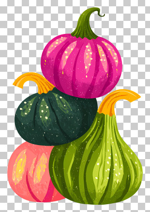 Stack Of Squashes - Colorful Pumpkins Stack PNG