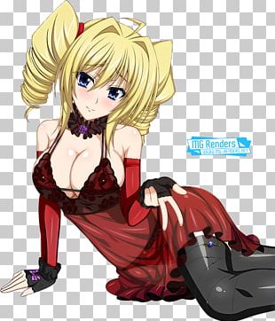 Pin by LION FIRE on HIGH SCHOOL DXD RG  Anime high school, Dxd, Highschool  dxd
