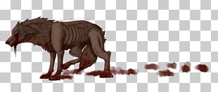 Dog Big Cat Canidae Snout PNG