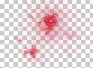 Light Desktop PNG
