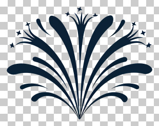Firework - Fireworks Graphic PNG
