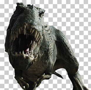 Dracorex Triceratops Tyrannosaurus Dinosaur Play Desktop PNG