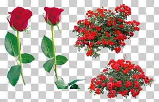 Desktop PNG