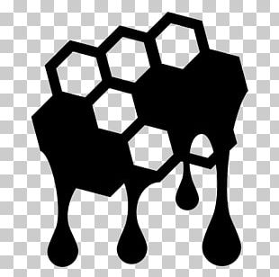 Computer Icons Honey Arctic PNG