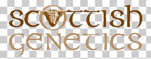 Logo Font Brand Celtic Pottery PNG