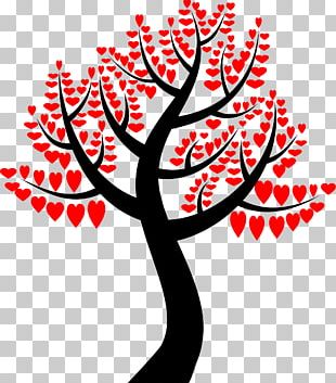 Tree PNG