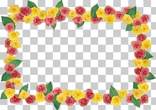 Floral Design Cut Flowers Frames PNG