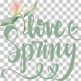 Floral Design PNG