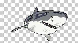 Shark Marine Mammal PNG