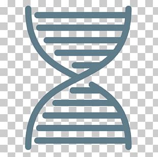 Nucleic Acid Double Helix DNA Computer Icons PNG