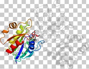 Line Graphic Design Point PNG