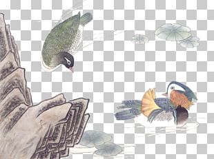 Chinese Painting Ink Wash Painting Bird-and-flower Painting PNG