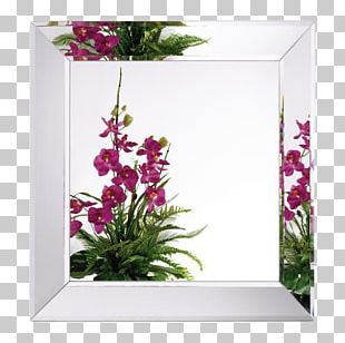 Mirror Bathroom Cabinet Glass Rectangle PNG