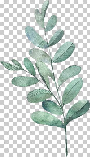 Fern Leaf Plant Stem Watercolor Painting PNG, Clipart, Art, Branch ...