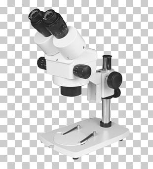 Stereo Microscope Light Optical Microscope Optics PNG