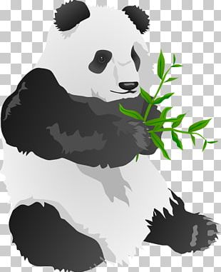 Giant Panda Bear PNG, Clipart, Animals, Area, Artwork, Bear, Black Free ...