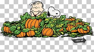 Snoopy Great Pumpkin Charlie Brown Linus Van Pelt Pig-Pen PNG