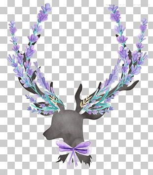 U5927u4f17u70b9u8bc4u7f51 Masses Dianpingwang Deer PNG